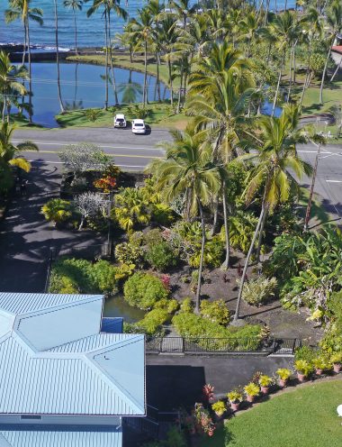 Beaches vacation rental house front yard