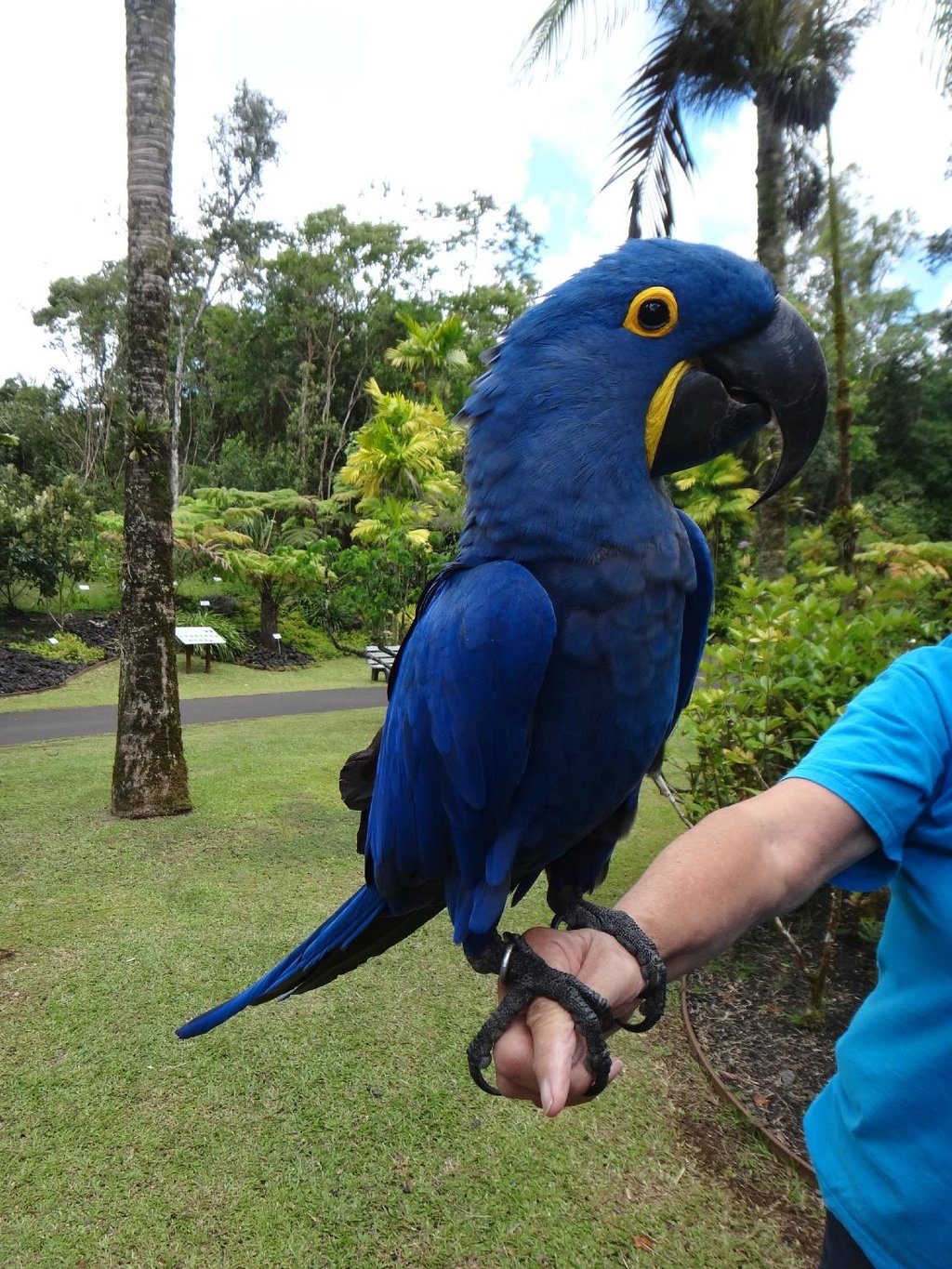 panaewa-rainforest-zoo