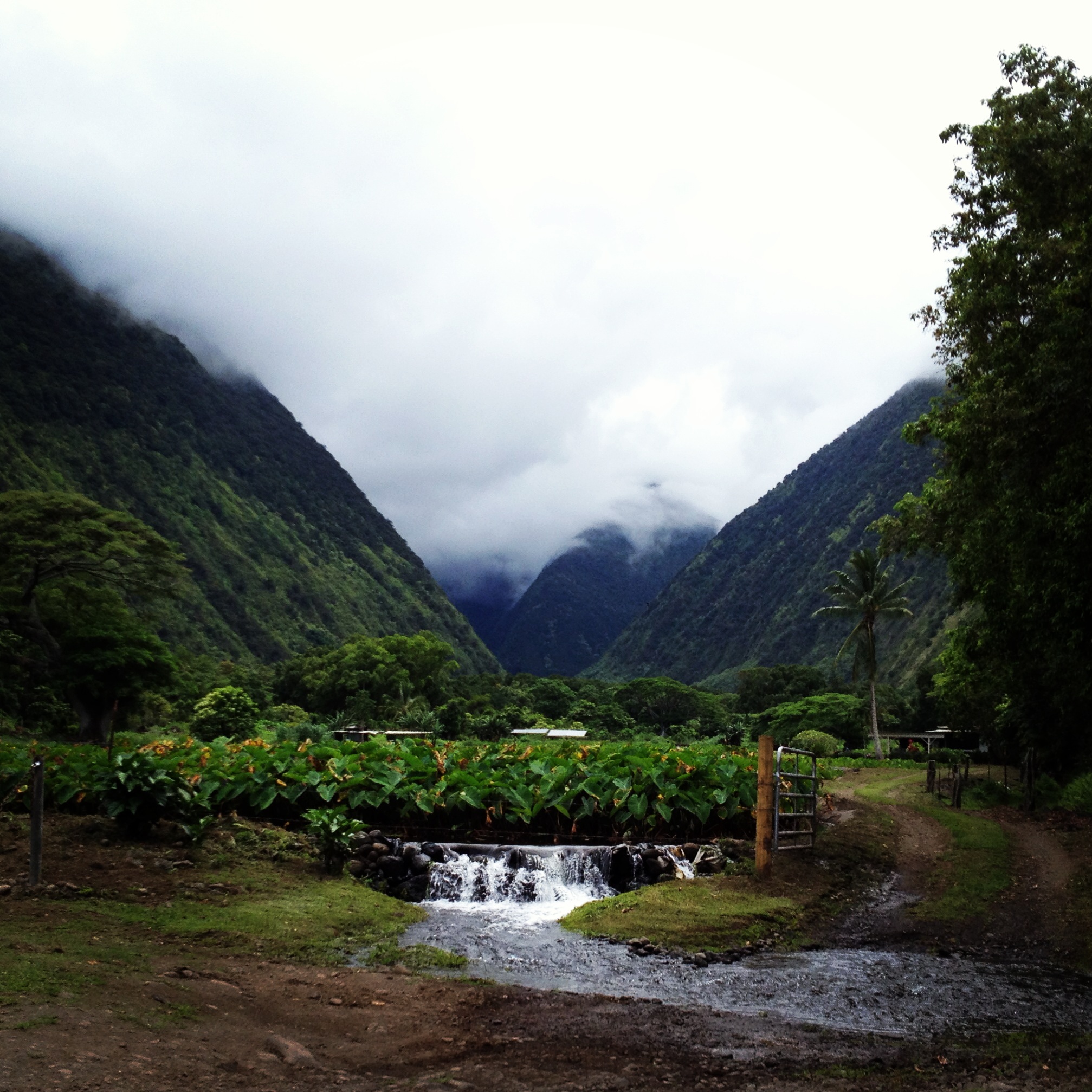 waipo-valley